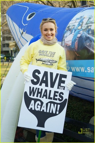  Hayden Saving the Whales