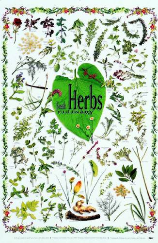  Herbs
