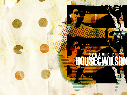  House//Wilson