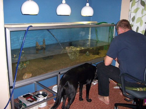  Installing a tường Aquarium