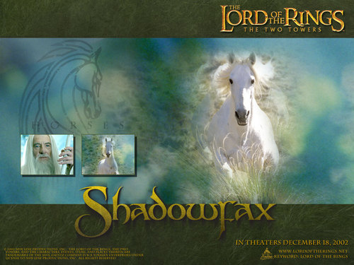  Shadowfax - LOTR Hintergrund