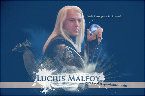  Lucius peacocks image