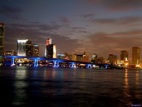  Miami Night