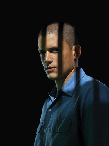  Michael Scofield