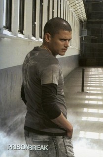  Michael Scofield