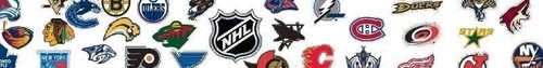  NHL Banner