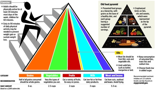  New Fangled খাবার Pyramid