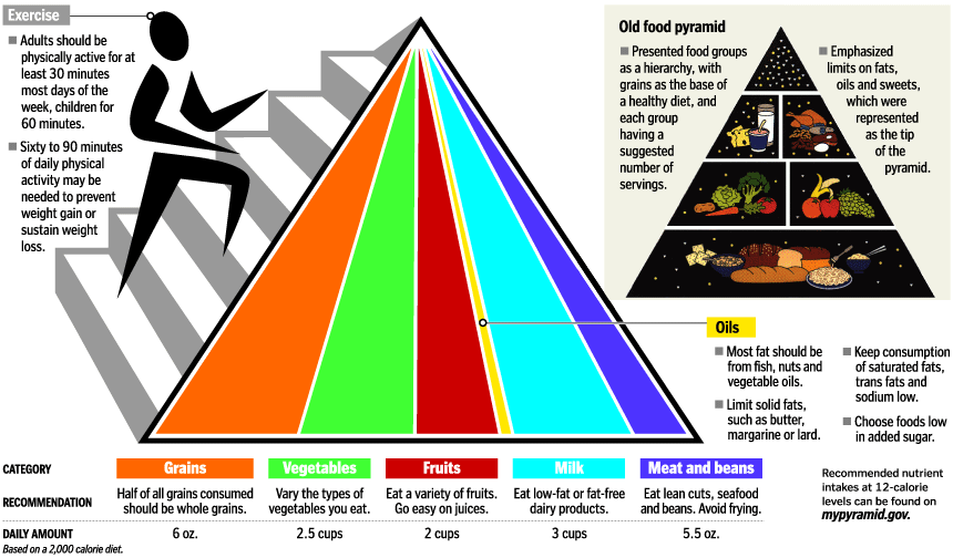 New Fangled Food Pyramid