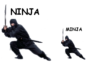 Ninja vs Minja