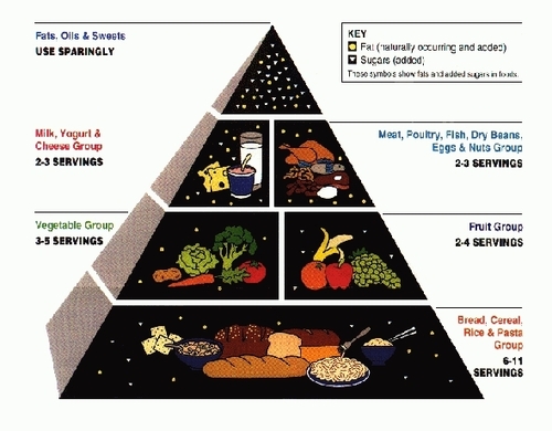  Old School Food Pyramid