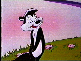 Pepe Le pew - Looney Tunes Photo (755993) - Fanpop