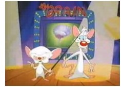  Pinky and the Brain Screen