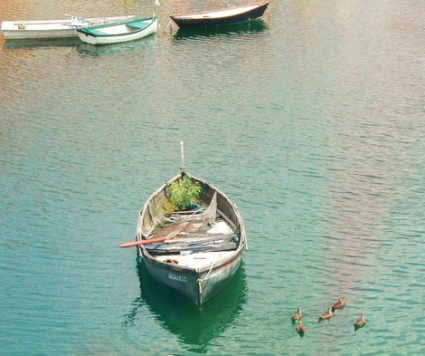  Portofino خلیج, کھاڑی