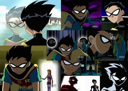  Robin Collage