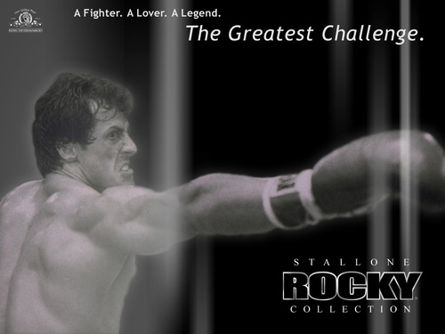  Rocky