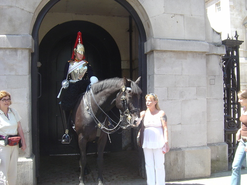  Royal Biting Horse