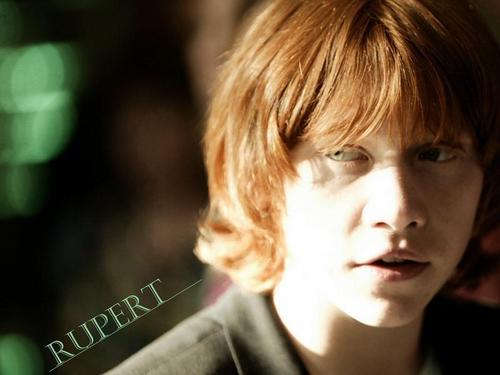  Rupert hình nền
