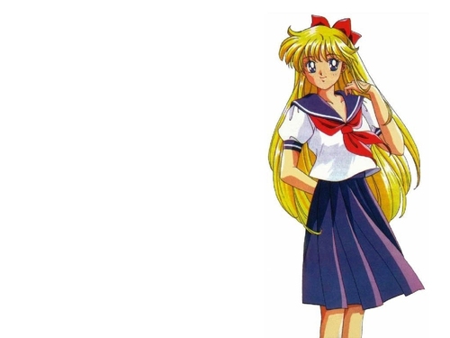  Sailor Moon 8
