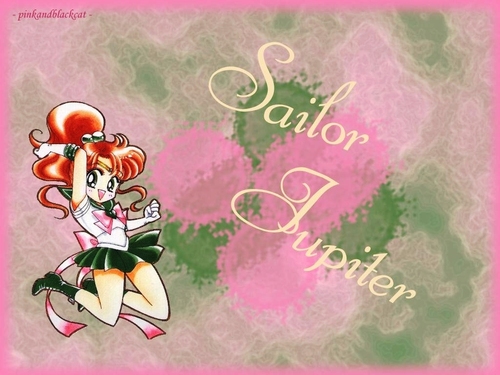  Sailor Moon 8