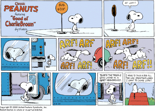  Snoopy Comic Strip