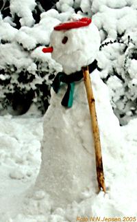  Snowman in Denmark