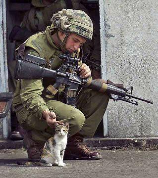  Soldier & kitten