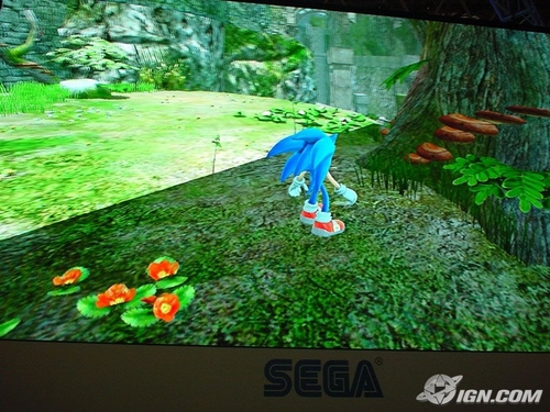  Sonic Game WP Size