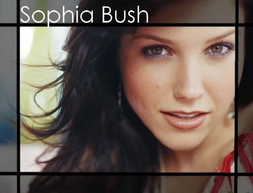  Sophia Bush<333