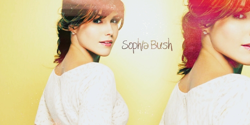  Sophia cespuglio, bush