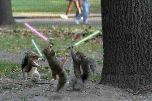  Squirrel's with Lightsabers