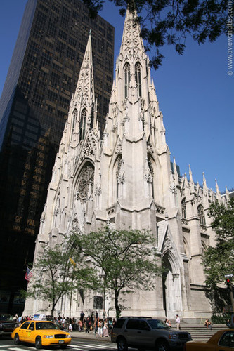  St. Patrick's Cathedral