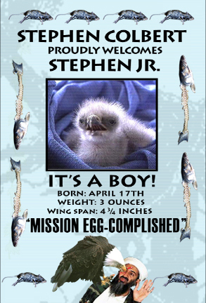  Stephen Jr's Birth Announcemnt