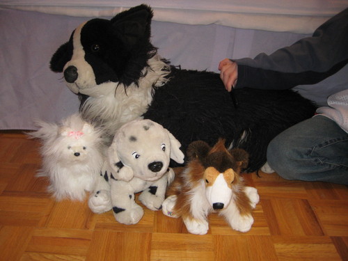  Stuffed Dogs!