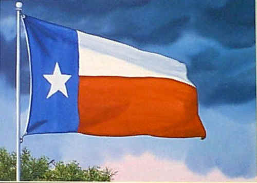  Texas Flag Painting