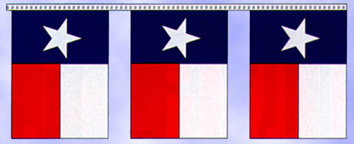  Texas Flag Pennants