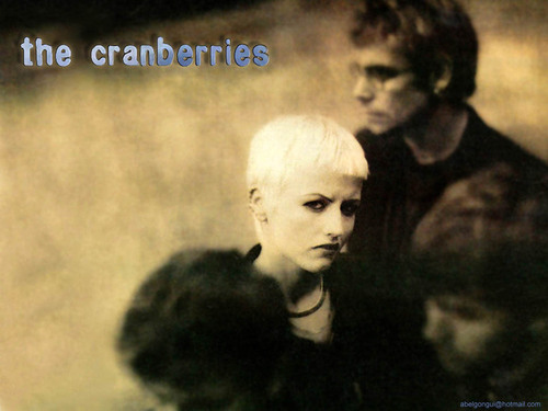  The Cranberries