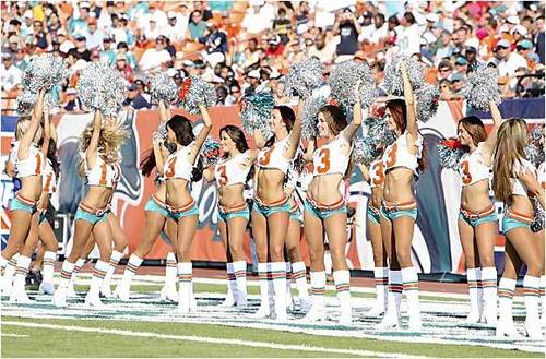  The Doll-phins