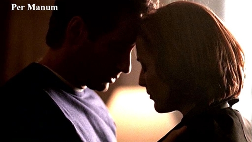 http://images.fanpop.com/images/image_uploads/The-X-Files-the-x-files-78344_500_281.jpg