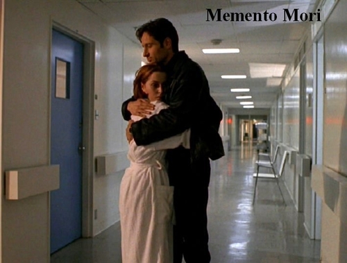 http://images.fanpop.com/images/image_uploads/The-X-Files-the-x-files-78351_500_379.jpg