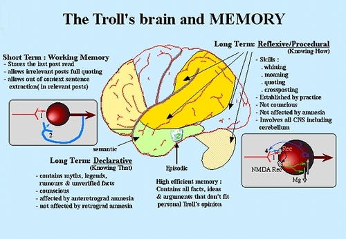  Troll Brain