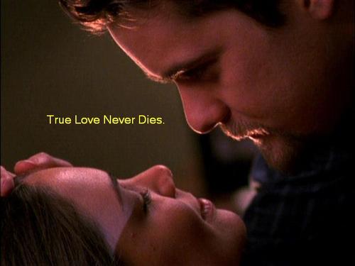  True tình yêu Never Dies