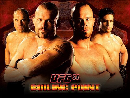  UFC Hintergrund