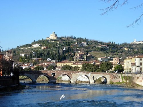  Verona