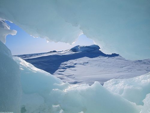  View Through Arctic Ice, NWT