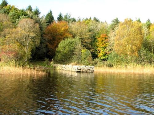  閲覧数 along the River Shannon
