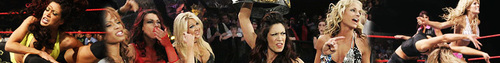 WWE Divas Banner