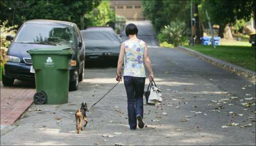  Walking her dog July 07