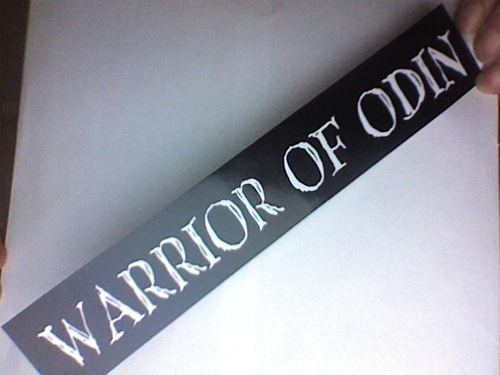  Warrior of Odin