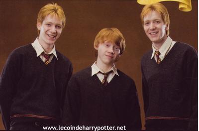  Weasleys