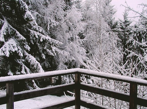  Winter in Austria